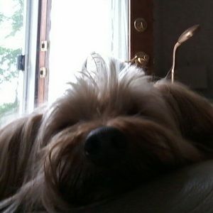 Meet your Posher, Lakejacqueline